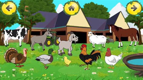 hayvan çiftliğindeki hayvanlar